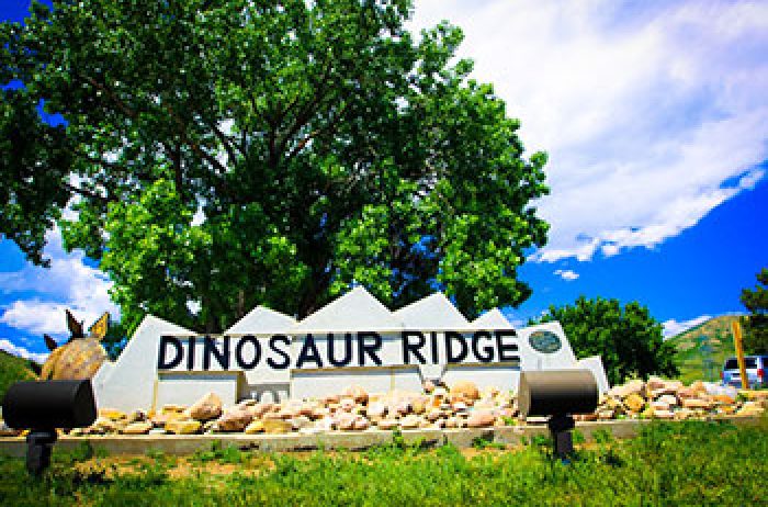 Sign at Dinosaur Ridge in summer with a big green tree behind it.