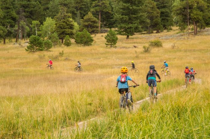 Eight children with helmets riding bicycles on a trail through tall grasses with evergreen trees in the distance.