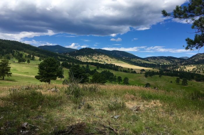 Mountain landscape in Jefferson County, Colorado with blue skies in summer.