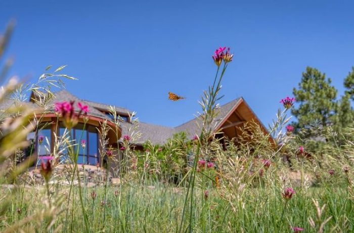 Attractive wood and stone building with wildflowers and a butterfly in the foreground.